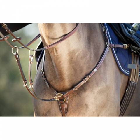 Collier de chasse Long Bridge HFI