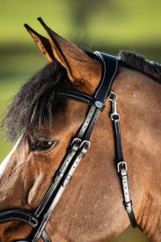 Bridon anatomique Techno HFI