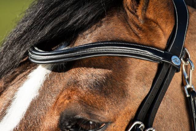 Bridon anatomique Techno HFI