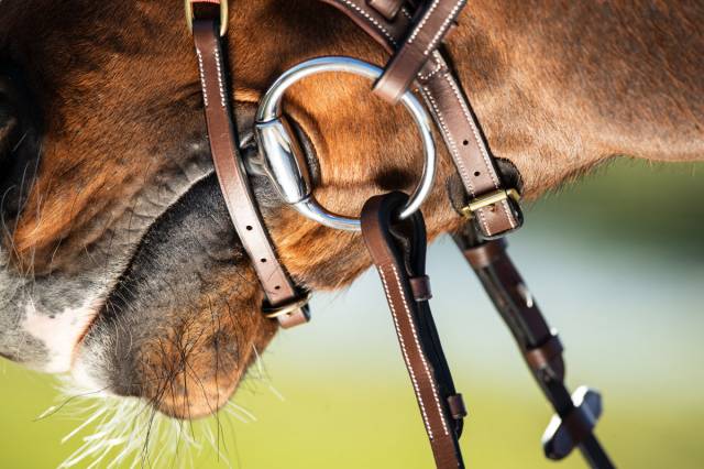 Bridon anatomique Techno HFI