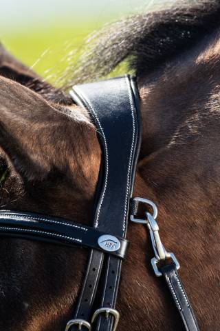 Bridon anatomique Techno HFI