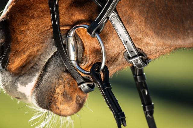 Bridon anatomique Techno HFI