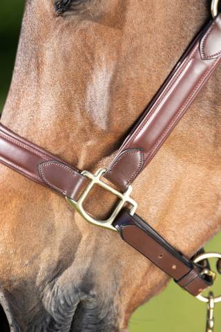 Licol cuir Wave HFI
