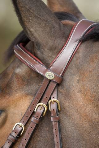 Bridon Anatomic HFI muserolle combinée