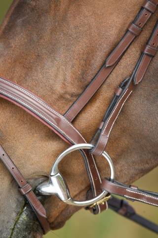 Bridon Anatomic HFI muserolle combinée