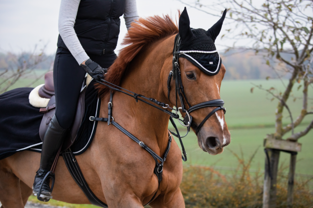 Bonnet anti-mouches hfi velvet - HFI - velours élégant