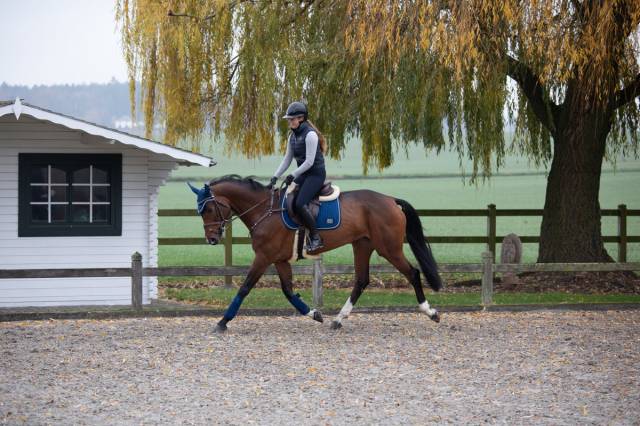 Tapis de selle hfi velvet - HFI - tissu velours