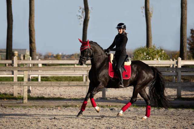 Tapis de selle hfi velvet - HFI - tissu velours