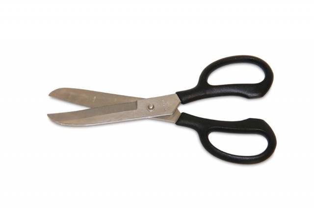 Ciseaux de pansage courbés - hfi