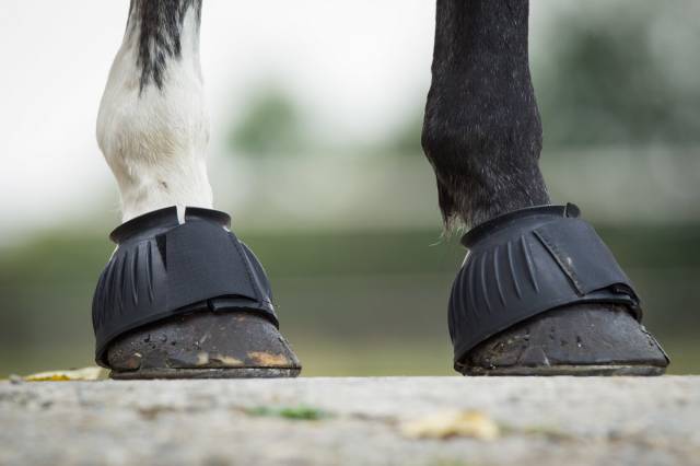 Cloches double velcro - HFI - caoutchouc naturel