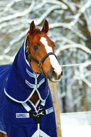 Couverture Rambo original 200g - Horseware - imperméable et respirant