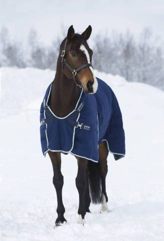 Couverture d'&eacute;curie Rambo Optimo 400g - Horseware