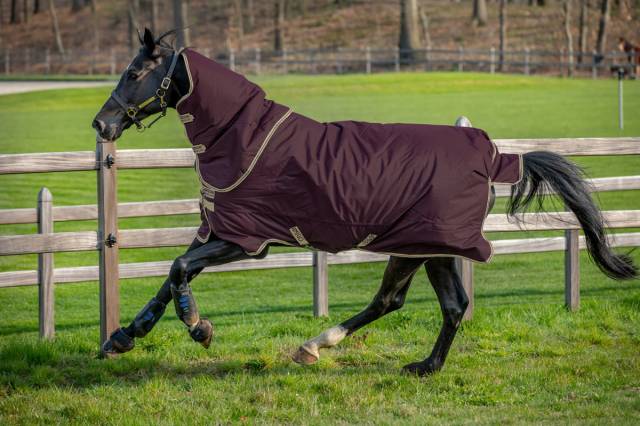 Couverture Amigo Hero ripstop plus 200g - Horseware - imperméable