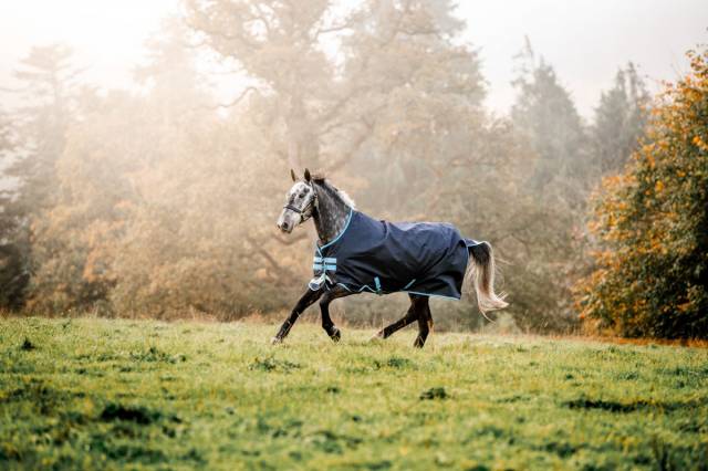 Couverture d'ext&eacute;rieur Amigo Bravo-12 100g - Horseware - Polyester 1200D