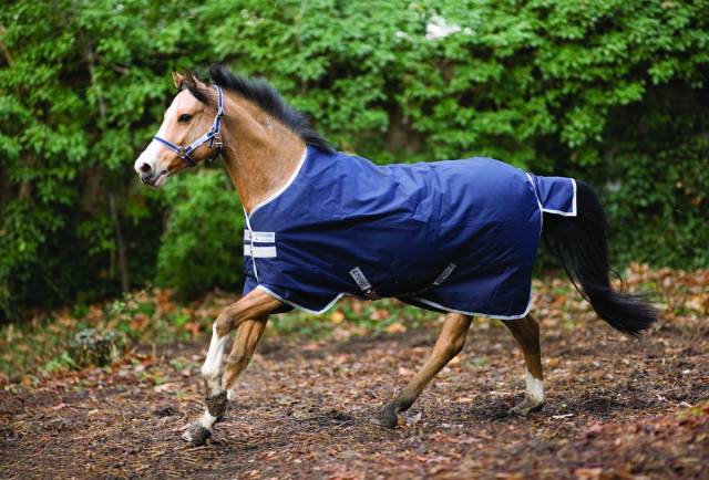 Couverture ext&eacute;rieur Amigo Bravo 12 Moyen 250g - Horseware - 1200D imperm&eacute;able