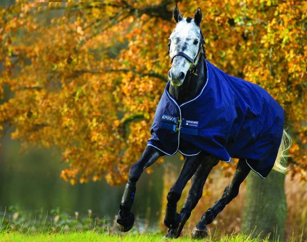 Couverture extérieur Amigo Bravo 12 Turnout Heavy - Horseware - 400g