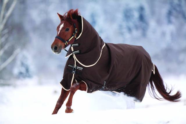 Couverture extérieur Amigo Bravo 12 Turnout Heavy - Horseware - 400g