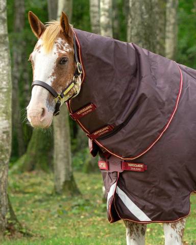 Couvre-cou Amigo Hood - Horseware - 1200d imperméable