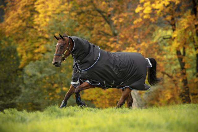 Couverture Amigo Bravo 12 plus 250g - Horseware - imperméable