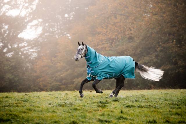 Couverture Amigo Bravo 12 plus 100g - Horseware - extérieur