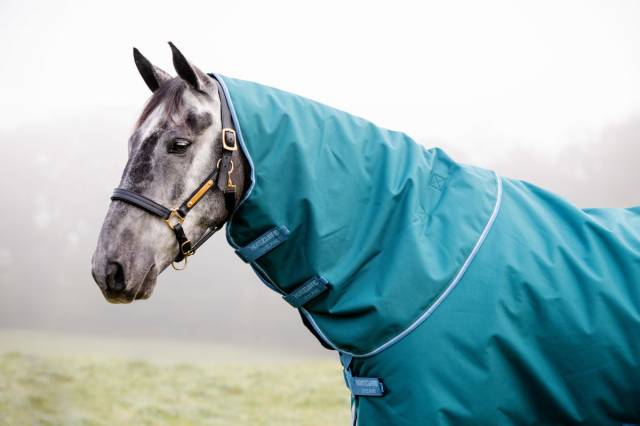 Couverture Amigo Bravo 12 plus 100g - Horseware - extérieur