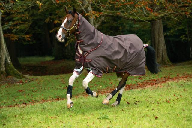 Couverture Amigo Bravo 12 plus 100g - Horseware - extérieur