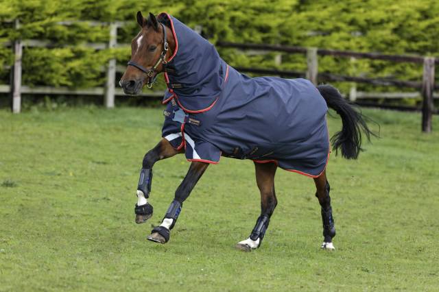 Couverture Amigo Bravo 12 plus 100g - Horseware - extérieur