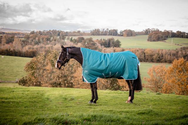 Couverture Amigo Bravo 12 Wug Légère 0g - Horseware - 1200D imperméable