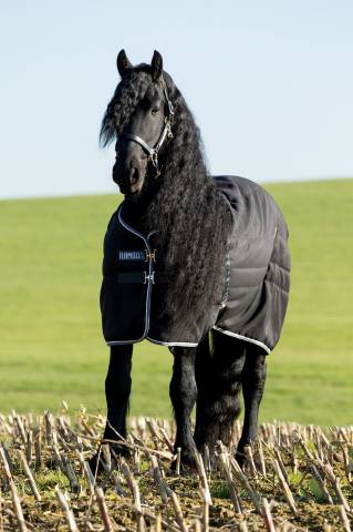 Couverture d'écurie Rambo Stable 200g - Horseware - extérieur en 1000d ripstop