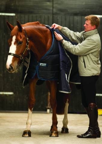 Sous-couverture Horseware liner 100 - horseware - 100g