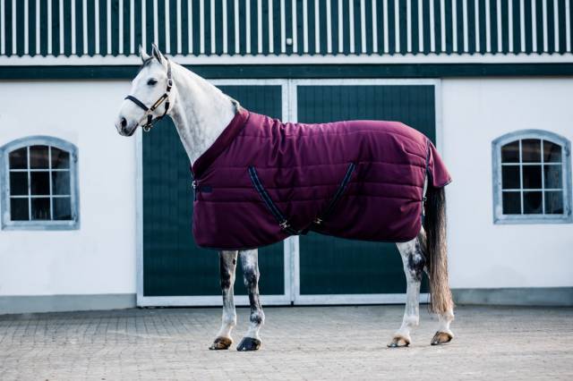Couverture d'écurie Rambo cosy stable 250g - Horseware