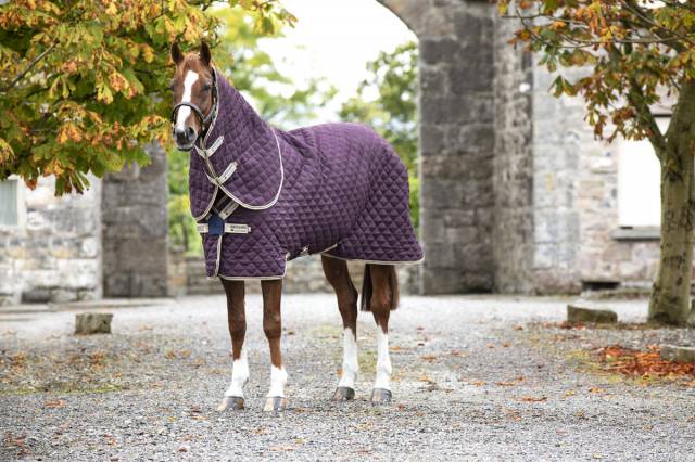 Couverture de box Amigo stable plus moyen - Horseware - 200g