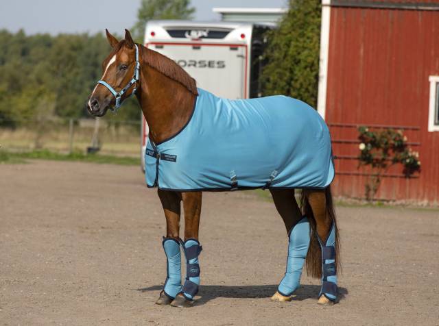 Couverture Amigo Jersey Rem - Horseware - polyester brossé