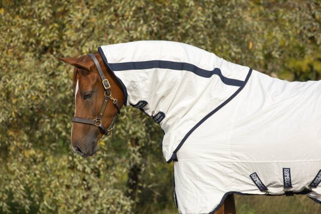 Chemise d'&eacute;t&eacute; anti-mouches Rambo Natura - eco-friendly