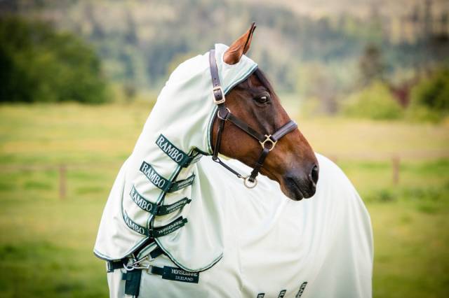 Chemise anti-mouches Hoody Rambo - protection uv et respirabilit&eacute;