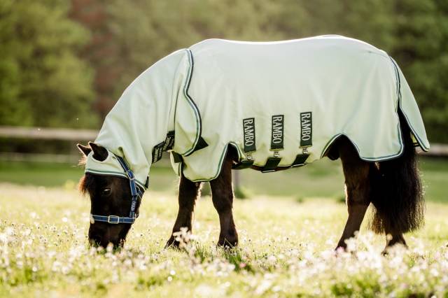 Chemise Rambo Petite taille hoody - Horseware - tissu respirant