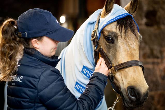 Couverture anti-insectes Amigo Pony Ripstop Hoody - Horseware - Tissu Ripstop 60