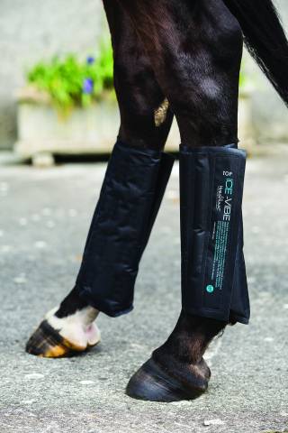 Pack de froid ice-vibe - Horseware - remplacement simple