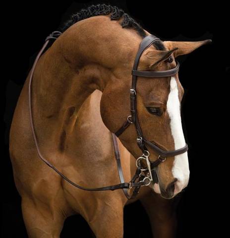 Bridon Rambo Micklem Competition - Horseware - confort optimal