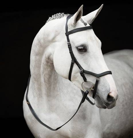 Bridon Rambo Micklem Competition - Horseware - confort optimal
