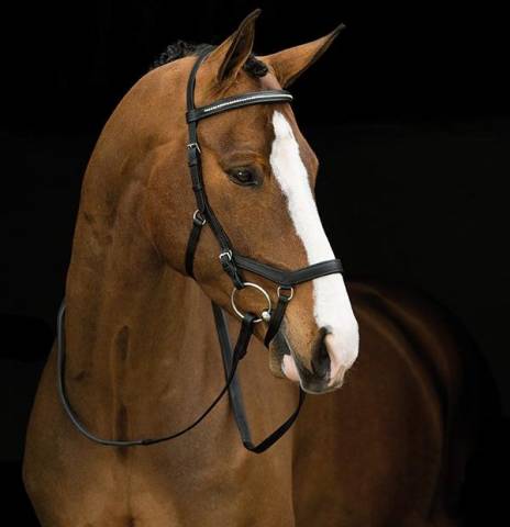 Bridon Micklem Diamante Compétition - Horseware - qualité supérieure