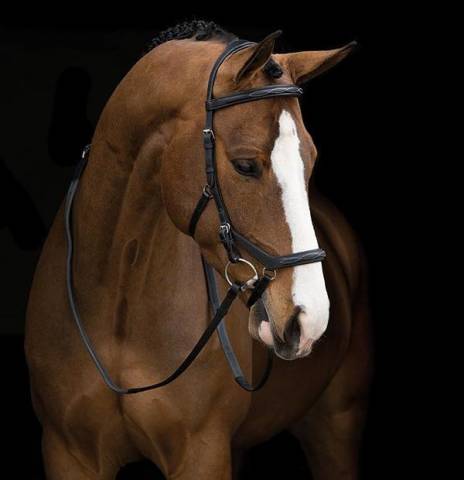 Bridon Micklem Deluxe Compétition - Horseware - confort optimal