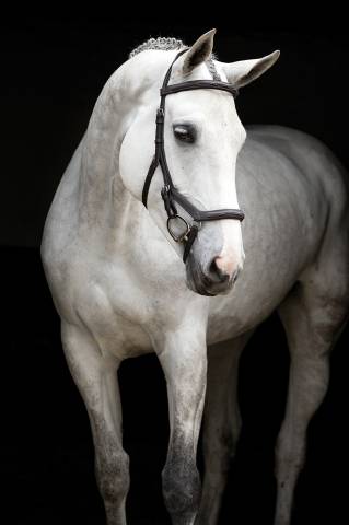 Bridon Micklem Deluxe Competition - Horseware - cuir anglais