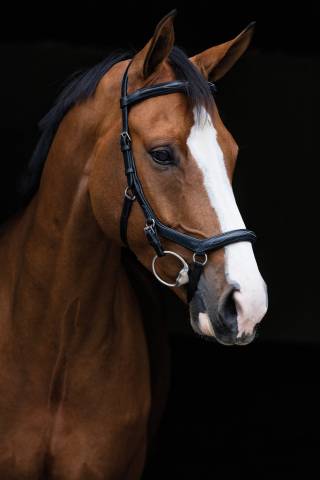 Bridon Micklem Deluxe Competition - Horseware - cuir anglais