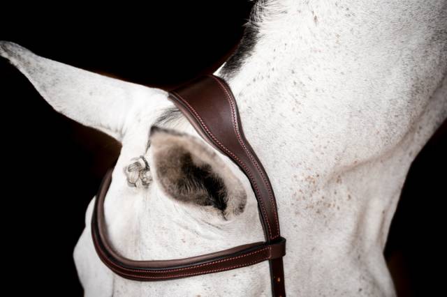 Bridon de compétition micklem2 - Horseware - pour petit cheval