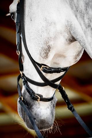 Bridon Micklem 2 Multi-brides - Horseware - Briderie
