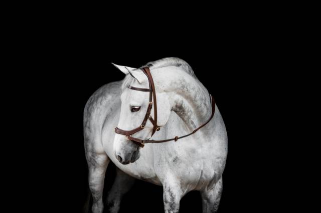 Bridon Micklem 2 Multi-brides - Horseware - Briderie
