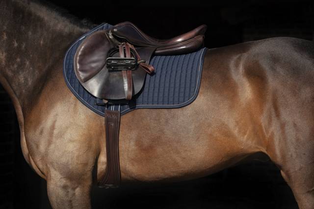 Sangle anatomique Rambo Micklem - Horseware