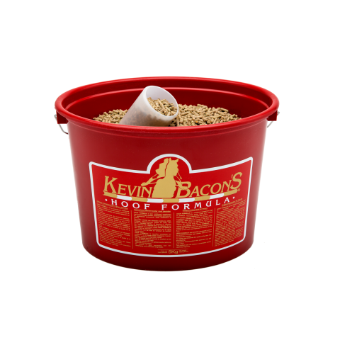 Formule de sabot Kevin Bacon - 5 kg