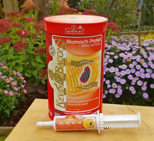 Stomach-protek speed action - 6 seringues